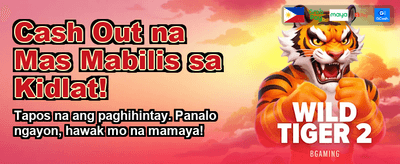 Premium Slots Experience